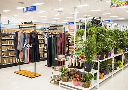 Plants & clothing on display in Lewis Drug store