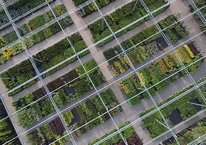 Greenhouses seen from above