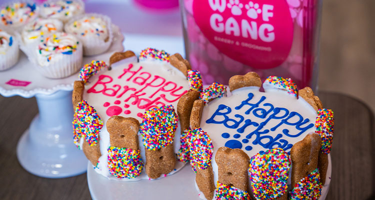 Woof Gang Bakery & Grooming’s passion for pet wellbeing shines through its wholesome treats "Happy Barkday" cakes from Woof Gang Bakery & Grooming
