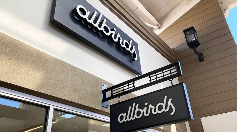 Allbirds sneakers displayed in a modern retail setting highlighting technology driven fashion innovation