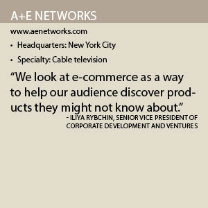 AE Networks fact box