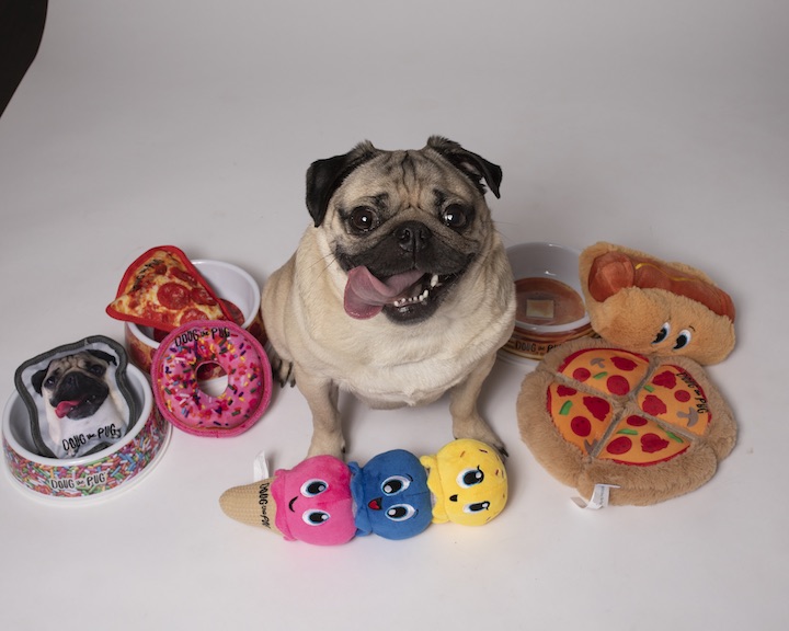 Doug The Pug - Retail Merchandiser